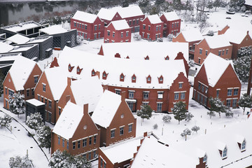 活力岛雪景