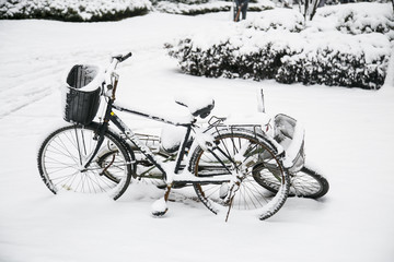 自行车雪景