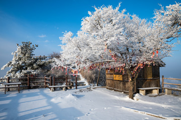 老君山雪景