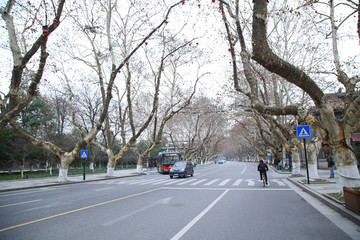 杭州城市街道