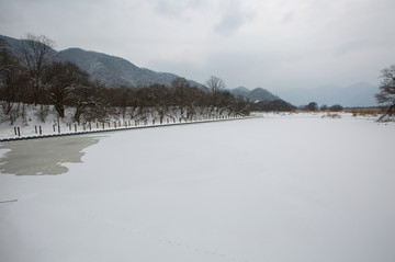 大九湖雪景