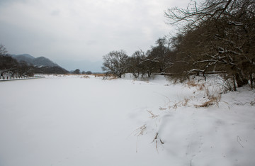 大九湖雪景
