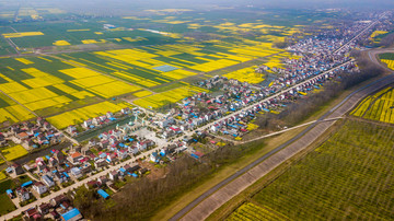 望江回民村全景及油菜花海