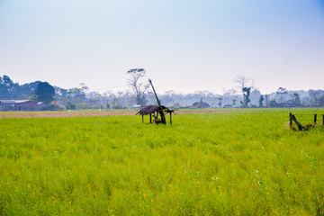 尼泊尔田园风光