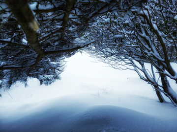 美丽的雪景