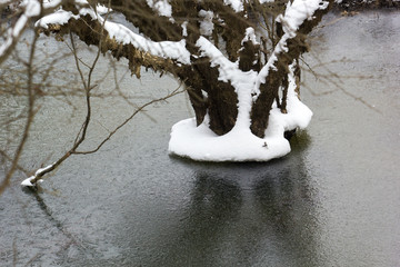 大九湖雪景