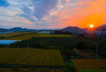 田園風(fēng)光