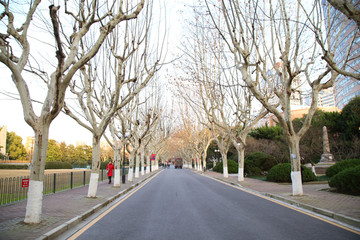 上海交通大学校园风光