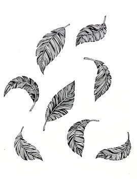 手繪羽毛