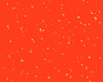 紅色灑金宣紙