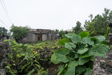 火山石房子