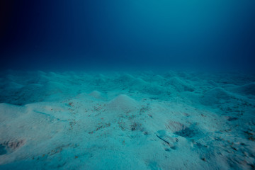 海底沙滩