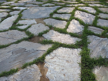 青草石板路