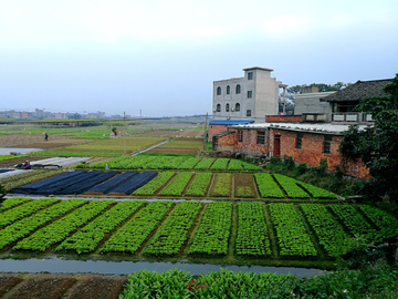 乡村田园