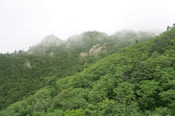 韩国雪岳山植被和云雾