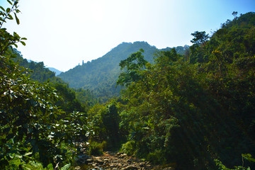 梧桐山风光