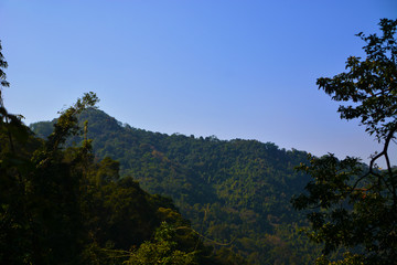 梧桐山风光