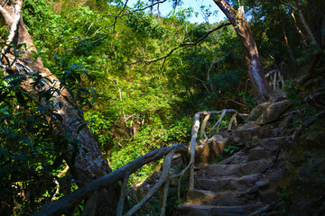 梧桐山山路