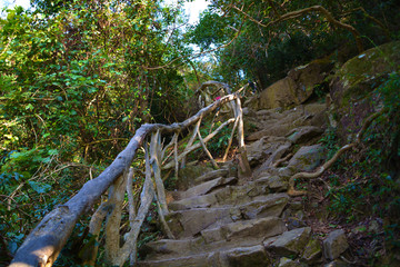 梧桐山山路