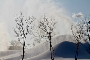 小树飞雪