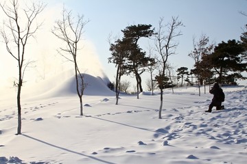 树雪摄影师