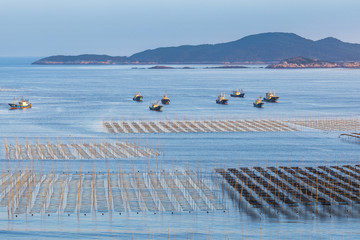 霞浦东壁风光