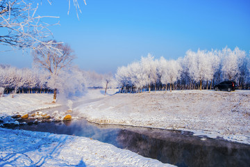 冬雪雾凇