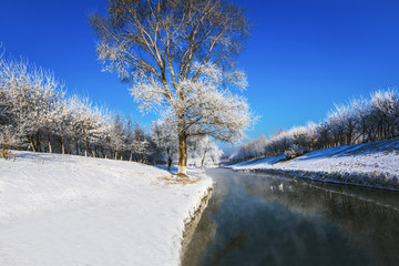 冬雪森林