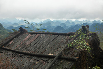树皮屋顶