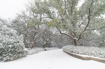 武汉雪景风光