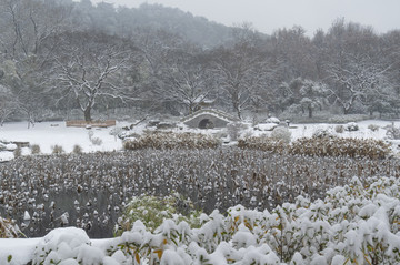 武汉雪景风光