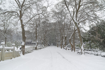 武汉雪景风光