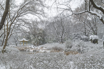 武汉雪景风光