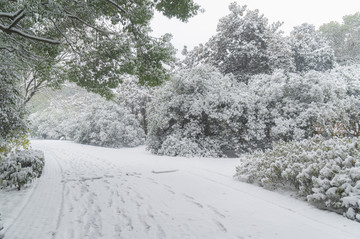 武汉雪景风光