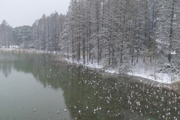 武汉雪景风光