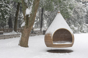 武汉雪景风光