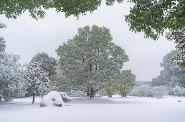 武汉雪景风光