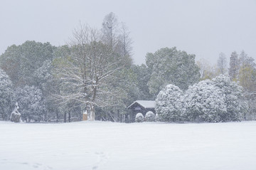 武汉雪景风光