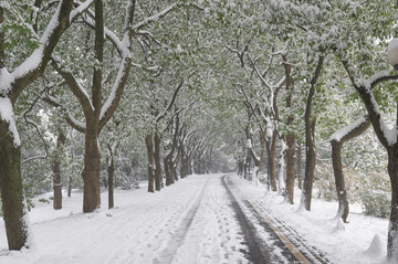 武汉雪景风光