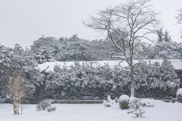 武汉雪景风光