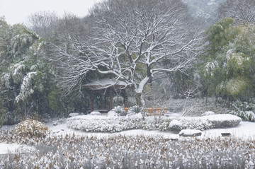 武汉雪景风光