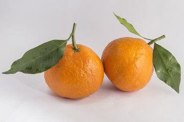 两个带叶的橙子