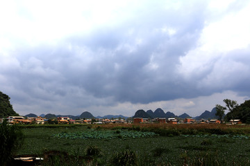 云南普者黑湿地