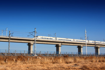 高架橋濕地