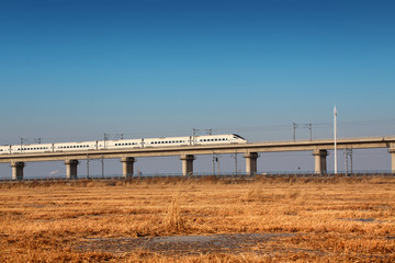 高架桥湿地