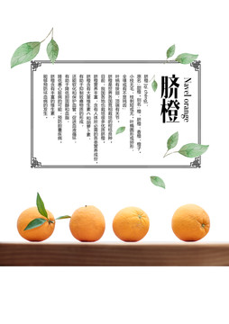 臍橙海報