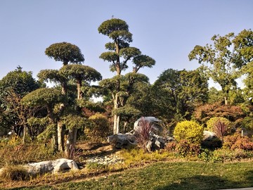 路边风景