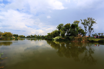 昆明湿地公园