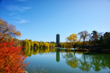 北京大学未名湖