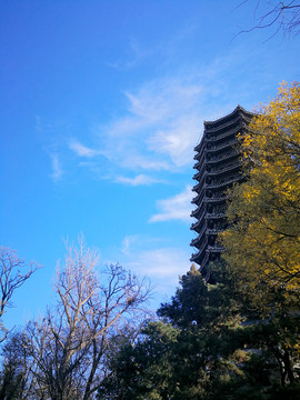 北京大学博雅塔